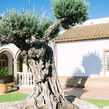 Casa Luxury "El Olivo De Cordoba" Con Jacuzzi Y Parking Privado Pensionat Eksteriør billede