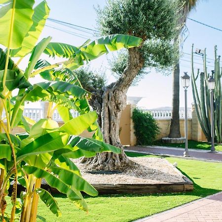 Casa Luxury "El Olivo De Cordoba" Con Jacuzzi Y Parking Privado Pensionat Eksteriør billede
