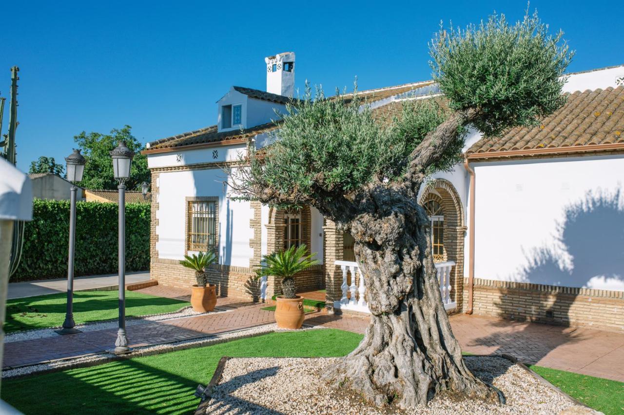Casa Luxury "El Olivo De Cordoba" Con Jacuzzi Y Parking Privado Pensionat Eksteriør billede