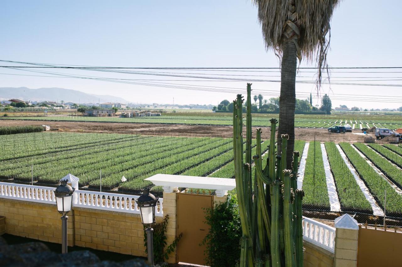 Casa Luxury "El Olivo De Cordoba" Con Jacuzzi Y Parking Privado Pensionat Eksteriør billede